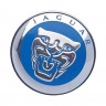 Колпачок ступицы Jaguar 63/58/8 синий и хром